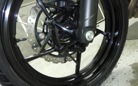 KAWASAKI Z250 Gen.2 EX250P