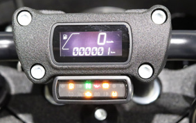 HARLEY FXLRST 2023 YXZ