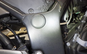 KAWASAKI NINJA 250 2020 EX250L