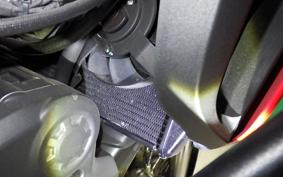 DUCATI MULTISTRADA 950 2017