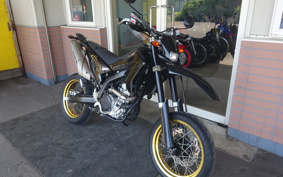 YAMAHA WR250X DG15J