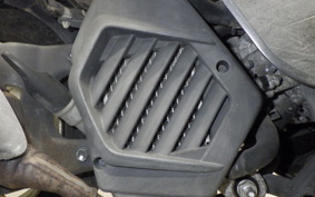 HONDA TACT-4ﾍﾞｰｼｯｸ 2024 AF79