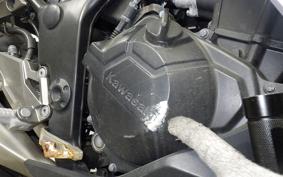 KAWASAKI Z250 ER250C