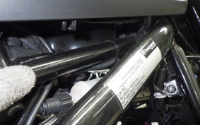 HUSQVARNA SVARTPILEN 401 2021