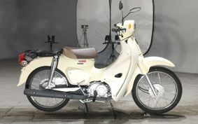HONDA SUPER CUB50 AA09