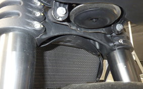 DUCATI STREETFIGHTER V2 2022
