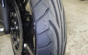 KAWASAKI NINJA 250 2021 EX250P