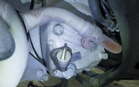 HONDA FORESIGHT EX MF04