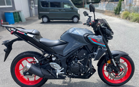 YAMAHA MT-25 ABS RG43J