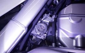 HONDA CRF250L MD38