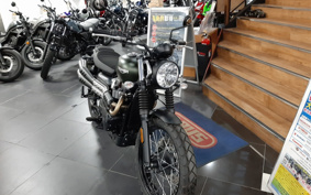 TRIUMPH TRIUMPH SCRAMBLER 2024 DAD78G