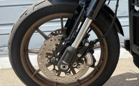 HARLEY FXLRST 2024 YXZ