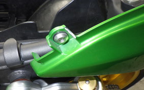 KAWASAKI ZRX1200 D 2013 ZRT20D