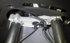 KAWASAKI NINJA1100SX SE 2025 ZXT10H