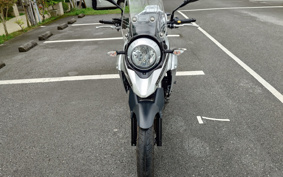 SUZUKI STROM 250ABS DS11A