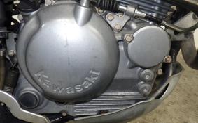 KAWASAKI SUPER SHERPA 2019 KL250G