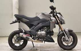 KAWASAKI Z125 PRO 2009 BR125H