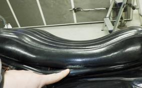 KAWASAKI W800 2015 EJ800A