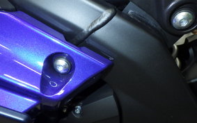 YAMAHA YZF-R15 2006 RG86J