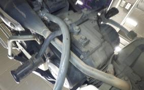 SUZUKI BIRDIE 50 2023 BA43A