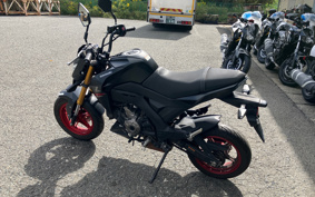 KAWASAKI Z125 PRO BR125H