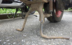 HONDA G' 2006 AF23