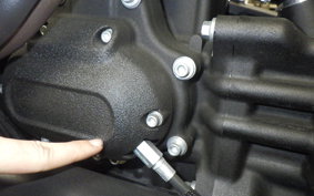 HARLEY FXLRS1920 2024