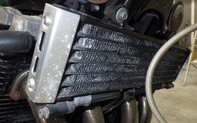 YAMAHA XJR1300 2001 RP03J