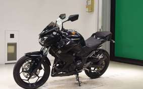 KAWASAKI Z250 2021 ER250C