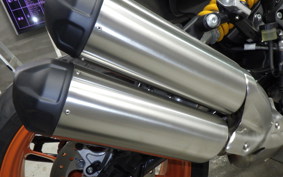 INDIAN FTR1200 2025