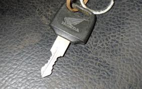 HONDA TLM220R MD23