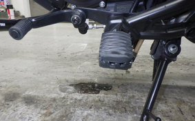 HONDA REBEL 250 E-Clutch 2021 MC49