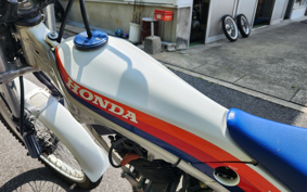 HONDA TLR250R MD18