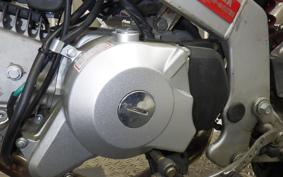 HONDA MONKEY R AB22