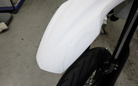 YAMAHA WR250X 2021 DG15J
