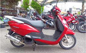 HONDA LEAD 110 JF19