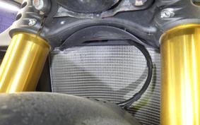 DUCATI STREETFIGHTER V4 S 2020