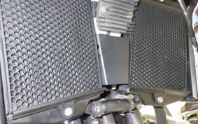 TRIUMPH TIGER 900 RALLY PRO 2022