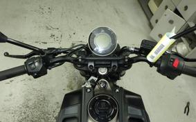 HUSQVARNA SVARTPILEN 401 2022