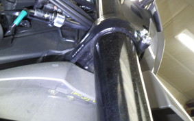 KAWASAKI KLX230SM 2006 LX232A