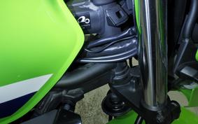 KAWASAKI ZRX1200 D 2017 ZRT20D