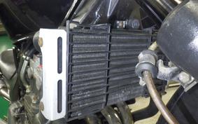 HONDA HORNET 250 MC31