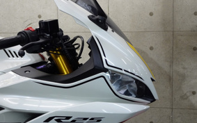 YAMAHA YZF-R25 RG74J