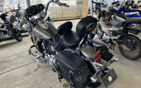 HARLEY FLSTC 2015 BWV