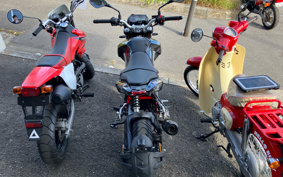 BENELLI BENELLI TNT125