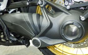 BMW R1300GS 2024