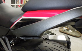 KAWASAKI NINJA 1000SX 2024 ZXT02K
