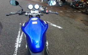 HONDA HORNET 250 MC31