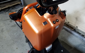 HONDA ZUMAR AF58
