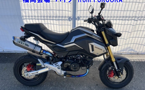 OTHER GROM-2